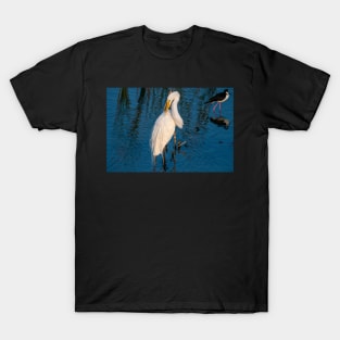 Great Egret Tending To Its Feathers T-Shirt